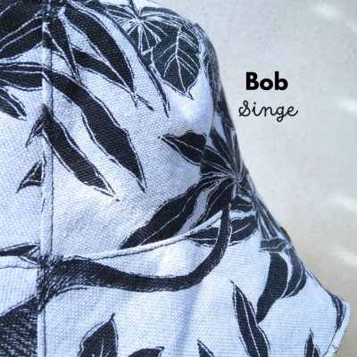 Bob Singe